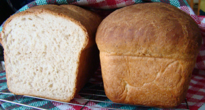 Loaves of buttermilk bread