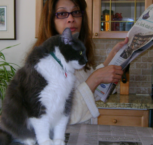 Obi-Wan in his prime: hopping up on the counter to share a Sunday morning with Mummy, reading the newspaper together.